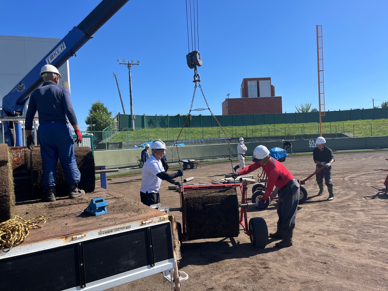 普通の芝より幅が広く長い芝を使用しています。