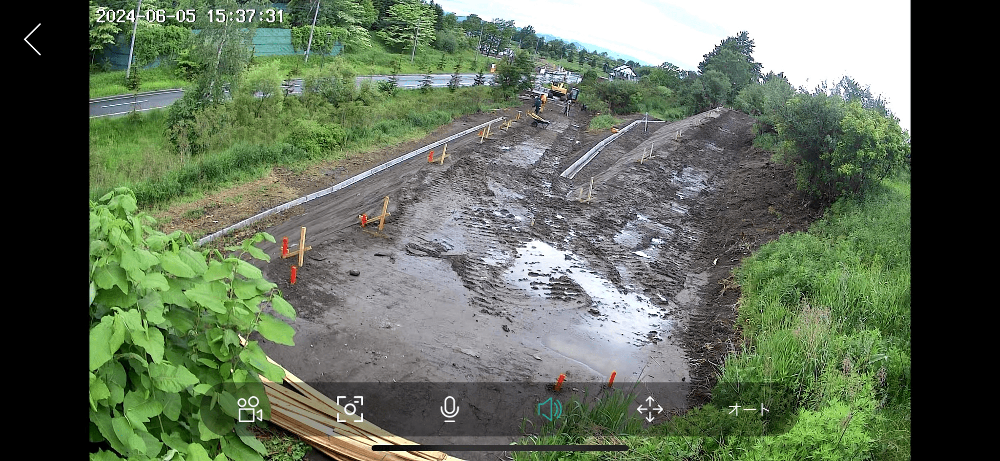 こんな感じで写っています