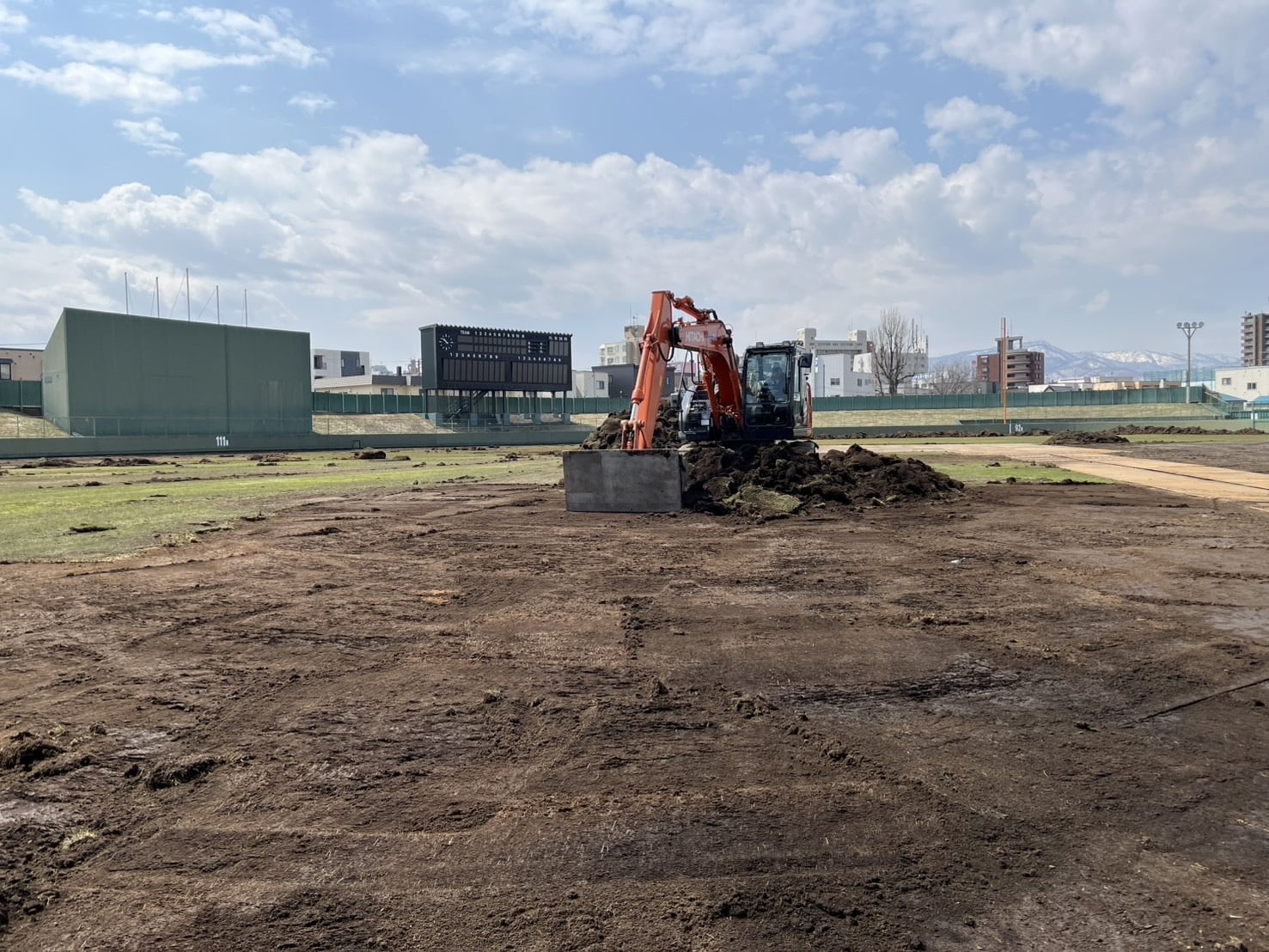 傷んで枯死した芝生を鋤取りしています